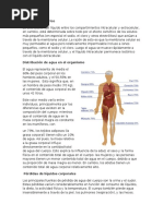 Intercambio Hídrico