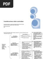 Consideraciones Sobre El Curriculum