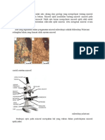 Mineral Optik Merupakan Salah Satu Cabang Ilmu Geologi Yang Mempelajari Tentang Mineral Yang Terkandung Pada Suatu Batuan