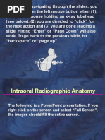 Self Study Intraoral Anatomy Radiology