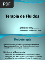 Terapia de Fluidos