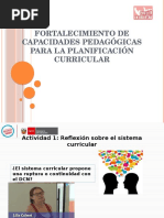 Orientaciones Generales para La Planificación Curricular