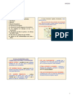 Fotossintese PDF