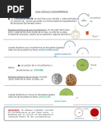 2 GUIA Círculo y Circunferencia