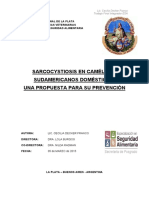 Documento Completo