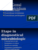 Genul Clostridium (Anaerobi Sporulati)