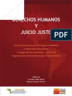 Claudio Nash Roja DERECHOS HUMANOS Y JUICIO JUSTO PDF