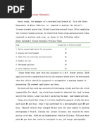 State Automobile Licence Renewals