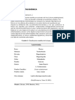 Clasificación Taxonómica