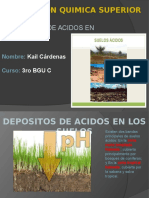 Depositos de Acidos en Los Suelos