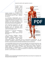 Composicion Del Cuerpo