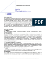 Contaminacion Sonora Puno Peru