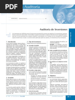 Auditoria de Inversiones