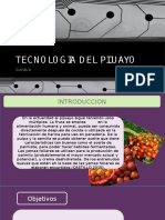 Diapositivas de Tecnologia de Pijuayo