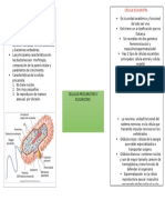 Mapa Mental de Célula Procariota y Célula Eucariota