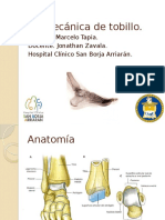 Biomecánica de Tobillo y Pie