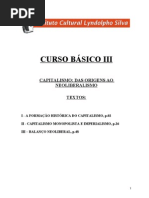 Curso Básico III - Capitalismo: Das Origens Ao Neoliberalismo