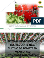 2013 12-16-01a Sistema Hidroponico Recirculante Ngs en Tomate e Invernaderos de Nueva Generacion Antonio Oliva 1412577405