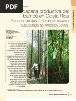 Cadena Productiva Bambu-Deras