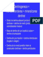 Curs 6 PDF