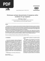 Performance and Pore Characterization of Nanoporous Carbon Membranes For Gas Separation