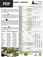 Calendário Camponês