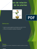 Funciones de Relación de Las Plantas