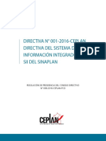 Directiva SINAPLAN