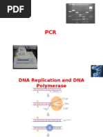 1-2 PCR and Gel Electrophoresis