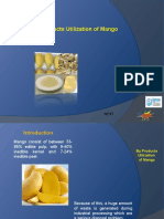 By Products Utilization of Mango 0