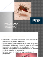 Paludismo Malaria