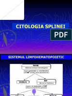 Citologia Splinei