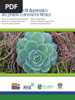 Echeveria Manual Del Perfil Diagnostico Del Genero Echeveria en Mexico