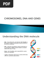 DNA and Genes PDF