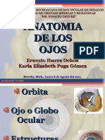 Anatomìa Del Ojo