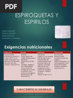 Espiroquetas y Espirilos