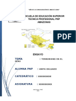 Ensayo Terrorismo en El Peru