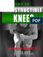 IndestructibleKNEES Proof 4 PDF