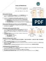 Capitulo 5 Fisiologia