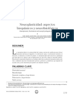 Neuroplasticidad