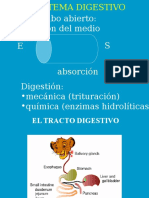 Es Un Tubo Abierto: Extensión Del Medio Ambiente!: E S Absorción