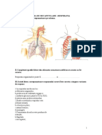 Fisa de Lucru Respiratia