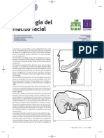 Embriología Del Macizo Facial