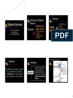 Estrutura Do Sistema Nervoso PDF