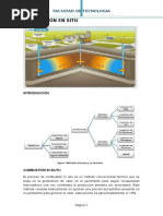 Combustion en Situ