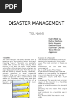 Disaster Management For Tsunami