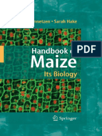 Handbook of Maize Its Biology