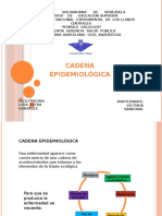 Cadena Epidemiológica