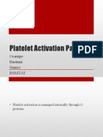 Platelet Activation Pathway