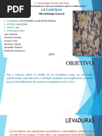 LEVADURAS MICROBIOLOGIA Termi PDF